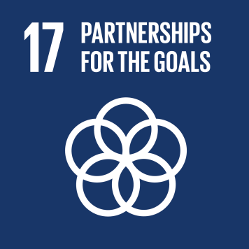 Goal 12: Ensure sustainable consumption and production patterns