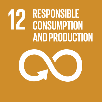 Goal 12: Ensure sustainable consumption and production patterns