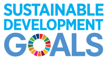 SDG Logo