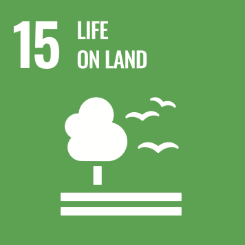 SDG 13 Climate action