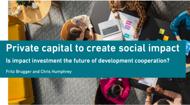Infobrief: Private capital to create social impact - Is impact investment the future of development cooperation?